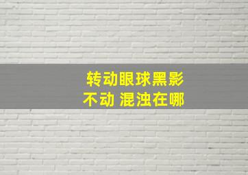 转动眼球黑影不动 混浊在哪